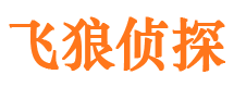 宁城市私家侦探